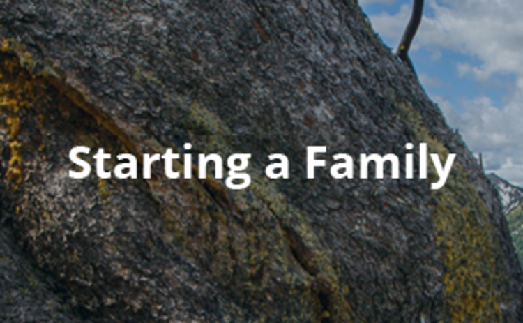text: Starting a family